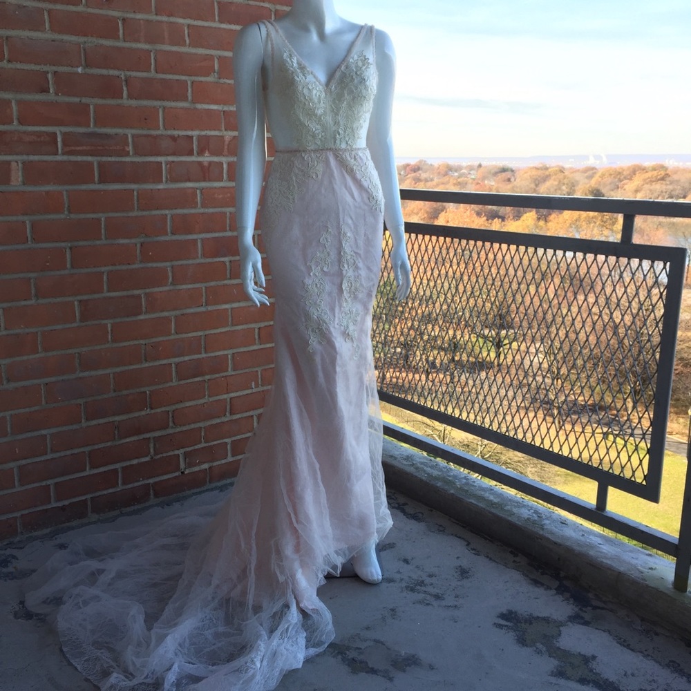 Beaded Lace Appliqué Gown - Size 4 (Light Pink)